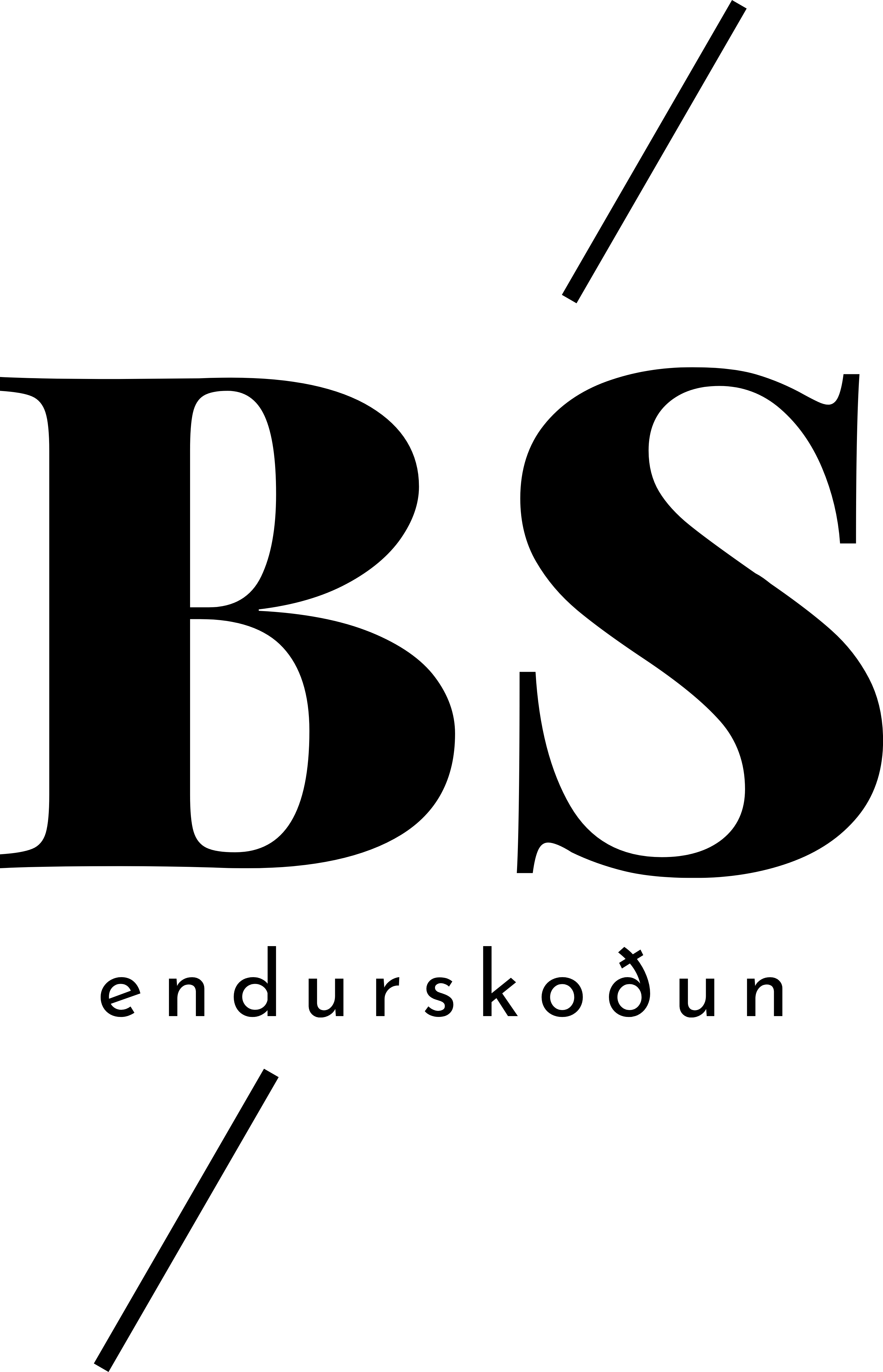 BS endurskodum logo